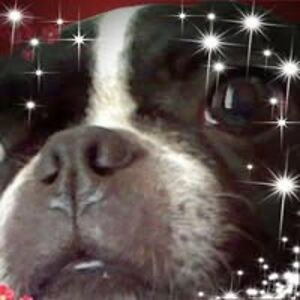 melanie_linehan avatar