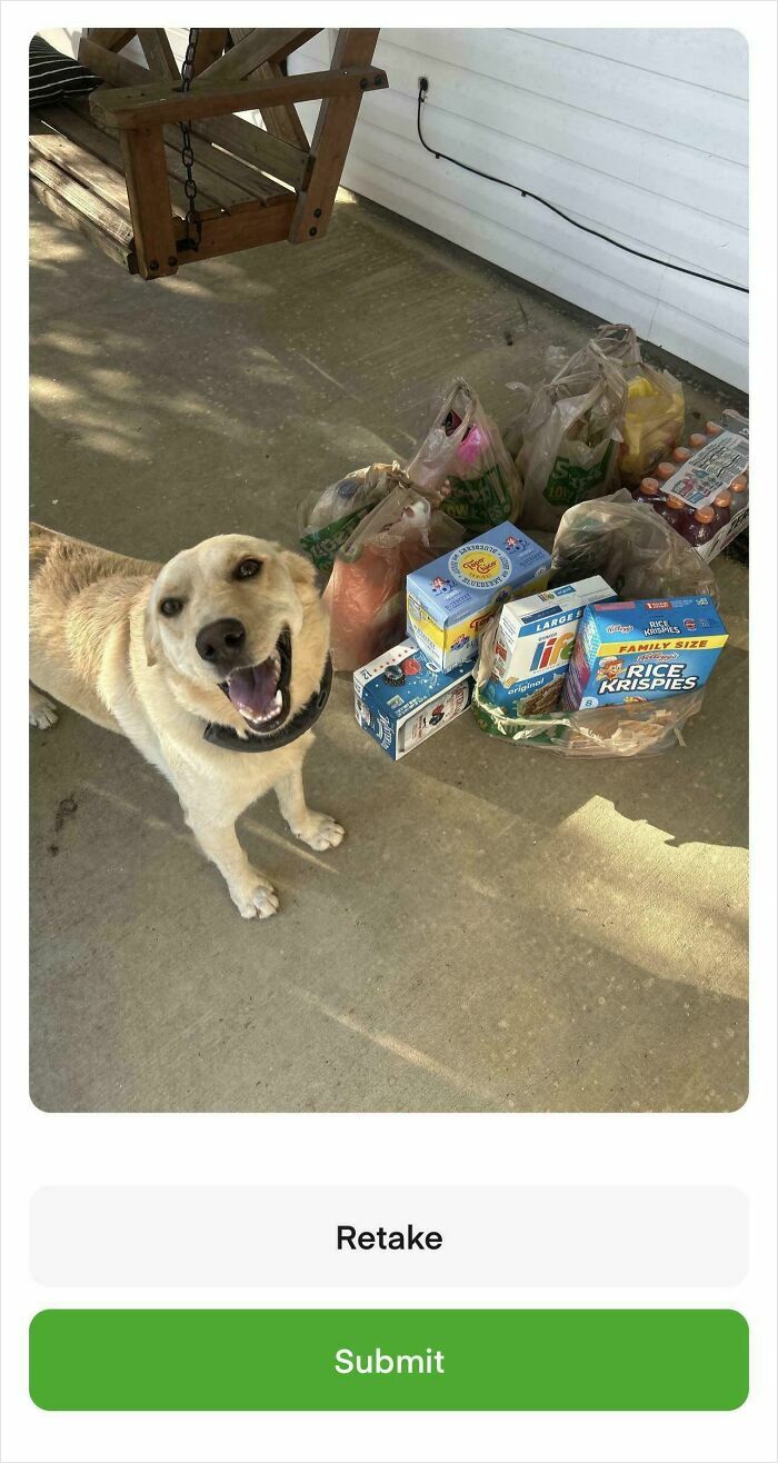 Dog smiling next to Instacart grocery bags on a porch.