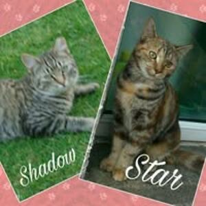 angela_fitzpatrick_1 avatar