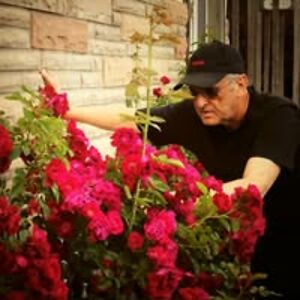 rick_bowman1946 avatar