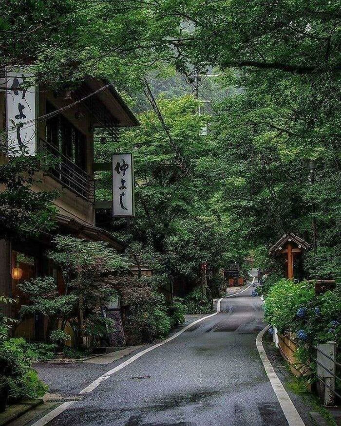 A quiet village road surrounded by lush greenery, showcasing fascinating scenery and traditional Japanese architecture.