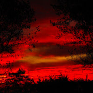 carolineklaas avatar