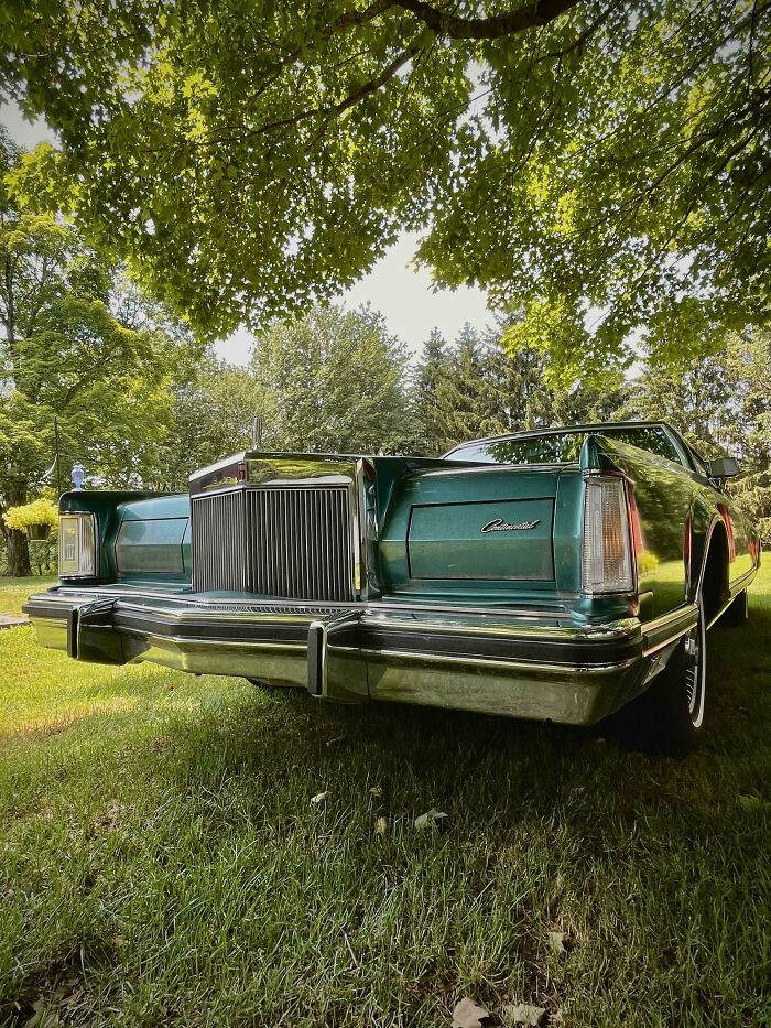 Vintage car parked on grass under lush green trees, showcasing classic design and elegance.