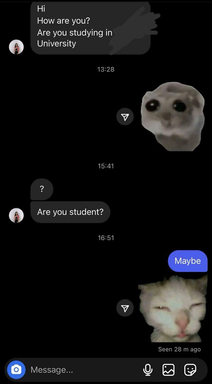 Chat exchange with humorous scammer responses featuring meme images.