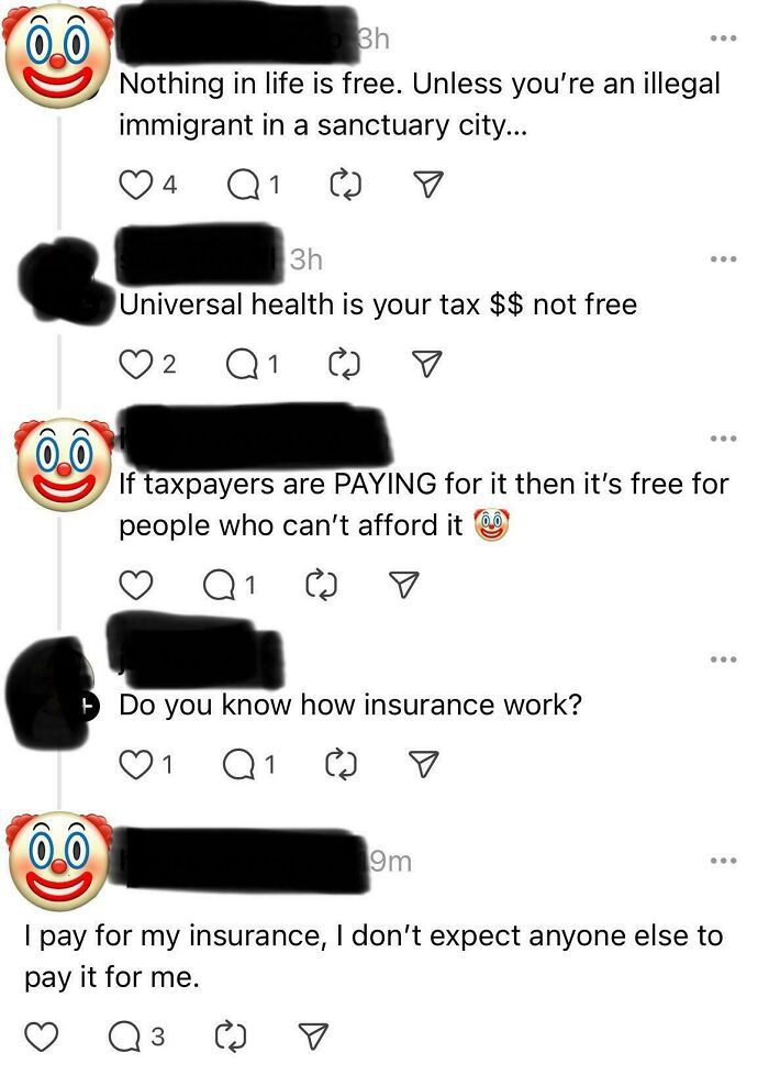 Online group roasting confidently incorrect individuals debating universal health and insurance costs in social media comments.