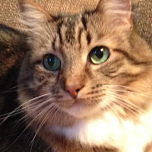 colleencaldwell avatar