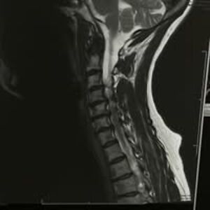 nordstromkim9 avatar