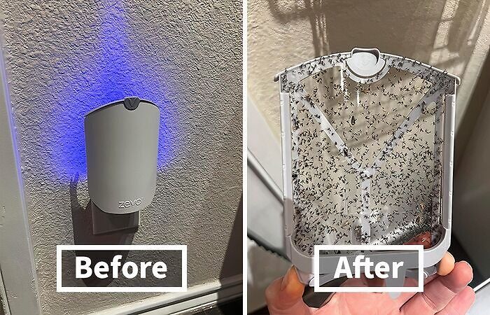 Before-and-after image showing insect trap effectiveness. Left shows device in use; right shows trap full of insects.