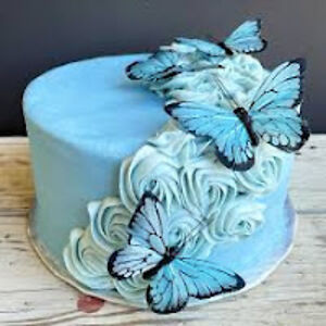 blucakebutterfly avatar