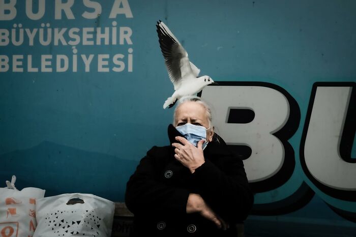 A woman in a coat with a seagull perched on her head, showcasing a unique street moment captured by Gökhan Arer.