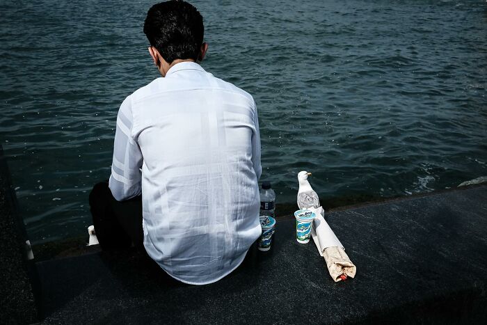 Man sitting by the water with seagull and snacks, offering a unique perspective on street scenes.