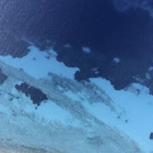 antoniobejerano avatar