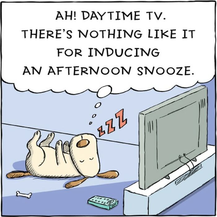 Comic of a dog napping in front of the TV with a thought bubble about daytime TV.