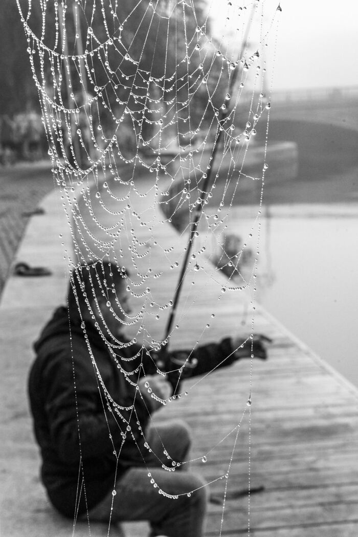 Street scene in Oslo with a detailed spider web in focus, capturing the urban essence in black and white.