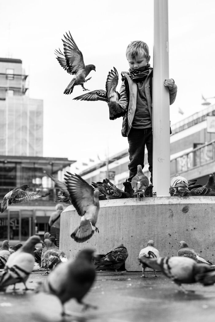 Child surrounded by pigeons on a city street, capturing the essence of Oslo or Stockholm in black and white.