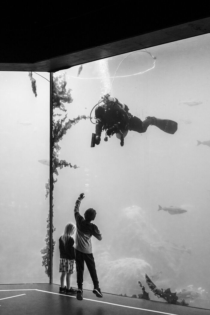 Children watching scuba diver in aquarium, capturing the essence of Oslo and Stockholm’s streets in black and white.