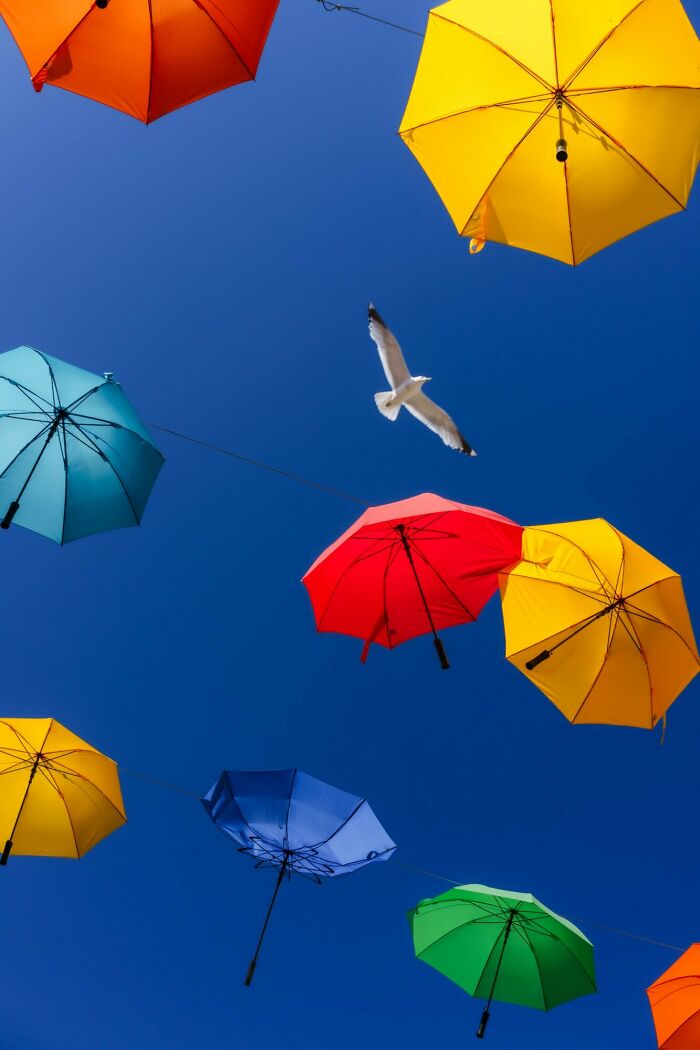 Colorful umbrellas float against a clear blue sky, capturing the essence of Oslo and Stockholm streets.