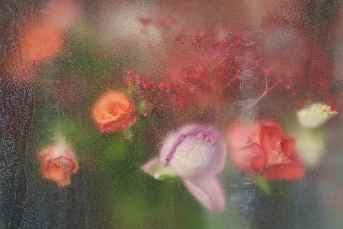 Blurry floral arrangement behind frosted glass, capturing essence of Oslo streets.