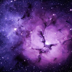 daniellehelme avatar