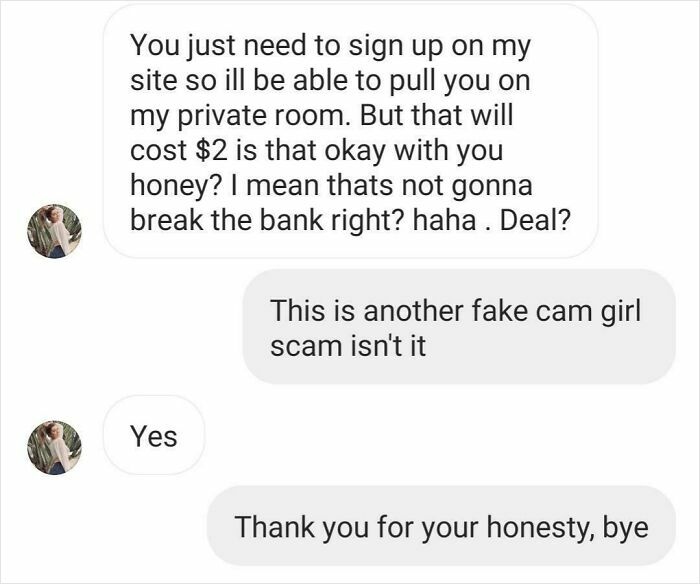 Chat exchange showcasing funny-scammer-responses about a fake cam girl scam.