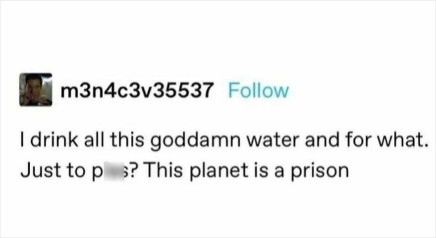 Humorous meme about drinking water and life, capturing the essence of funny puncrastination.