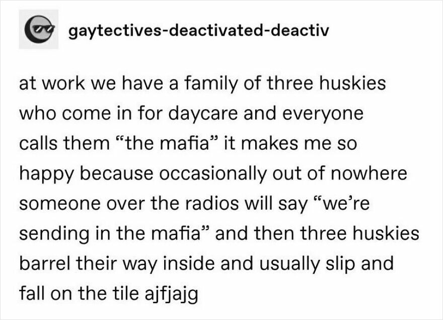 Funny puncrastination meme about huskies called "the mafia" slipping on tiles at daycare.