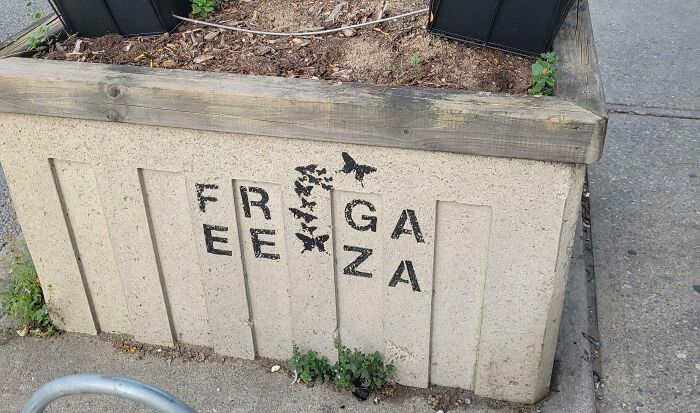 Sign fail with illegible stencil letters on a concrete planter.
