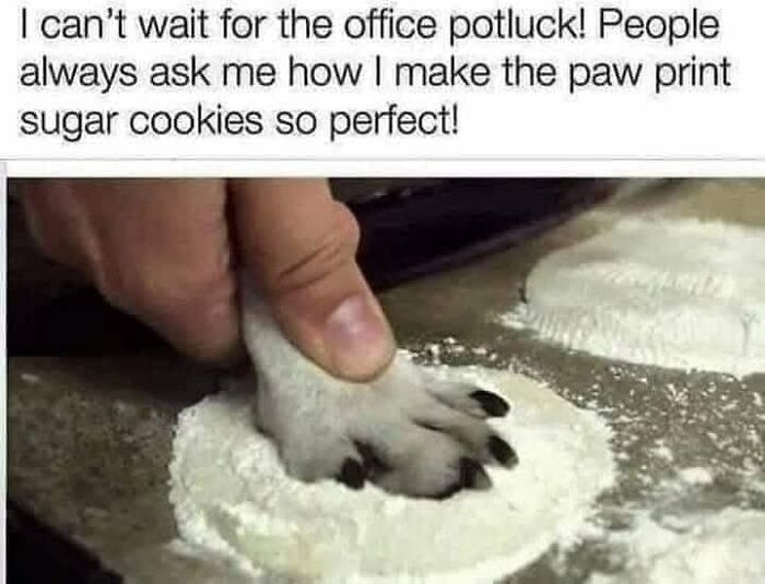 Dog's paw pressing into flour to create paw print cookies; positivity meme.