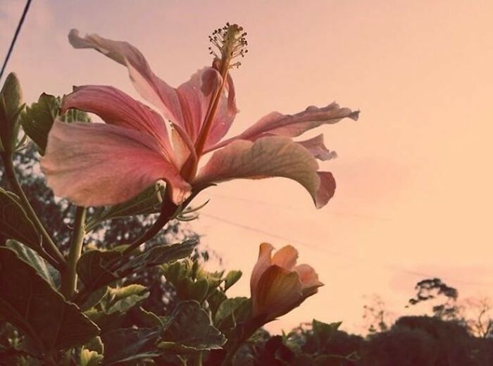 You Are Entitled To Your Opinion And I'm Entitled To Choose The Way I Live My Life.