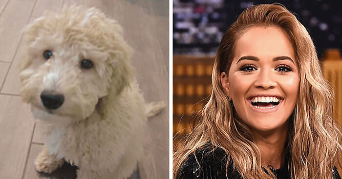 Rita And My Dog, Dipper... They Look Alike In A Way