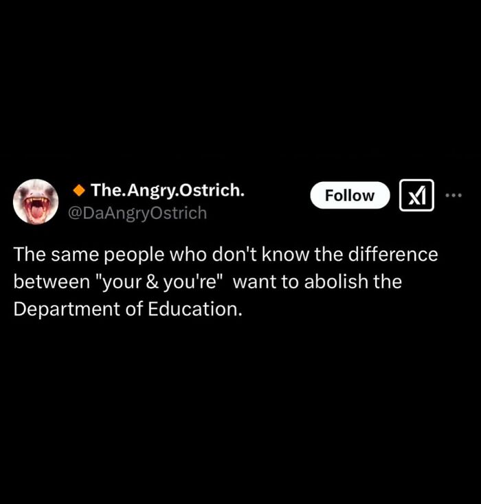 Funny meme about grammar mistakes and the Department of Education from a social media post, humor for low energy moments.