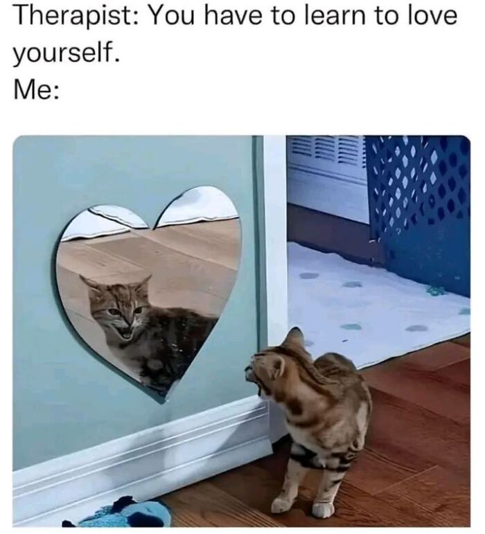 Cat looking at itself in a heart-shaped mirror, capturing a moment of positivity and self-reflection.