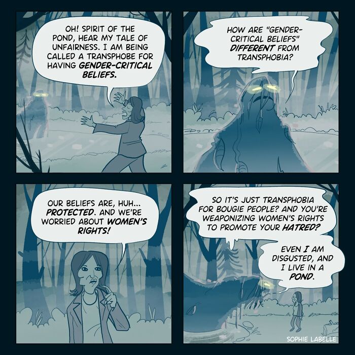 Comic strip addressing transgender experiences, featuring a dialogue on gender-critical beliefs and social issues.