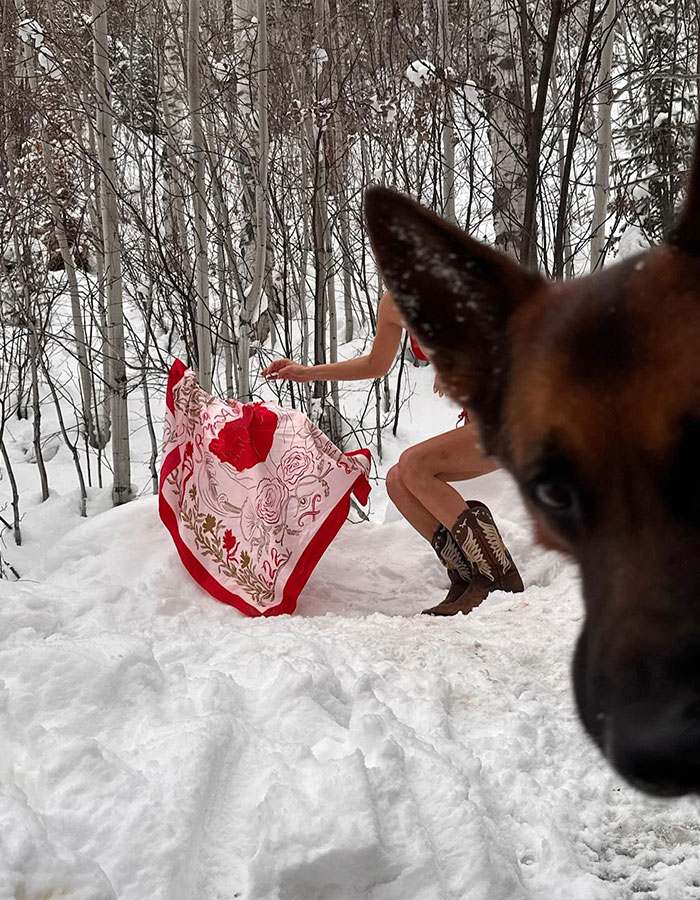 Dog photobombs a snowy photoshoot with a person in a red-hot bikini and patterned wrap, creating a fun moment. Dog photobombs a snowy photoshoot with a person in a red-hot bikini and patterned wrap, creating a fun moment.
