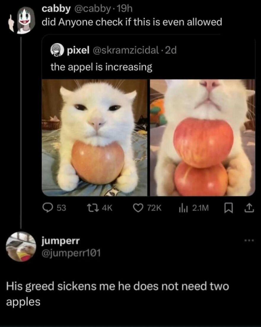 A funny meme of a cat holding two apples humorously captioned about greed.