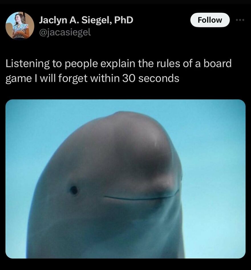 Beluga whale with a caption about forgetting board game rules, embodying puncrastination humor.