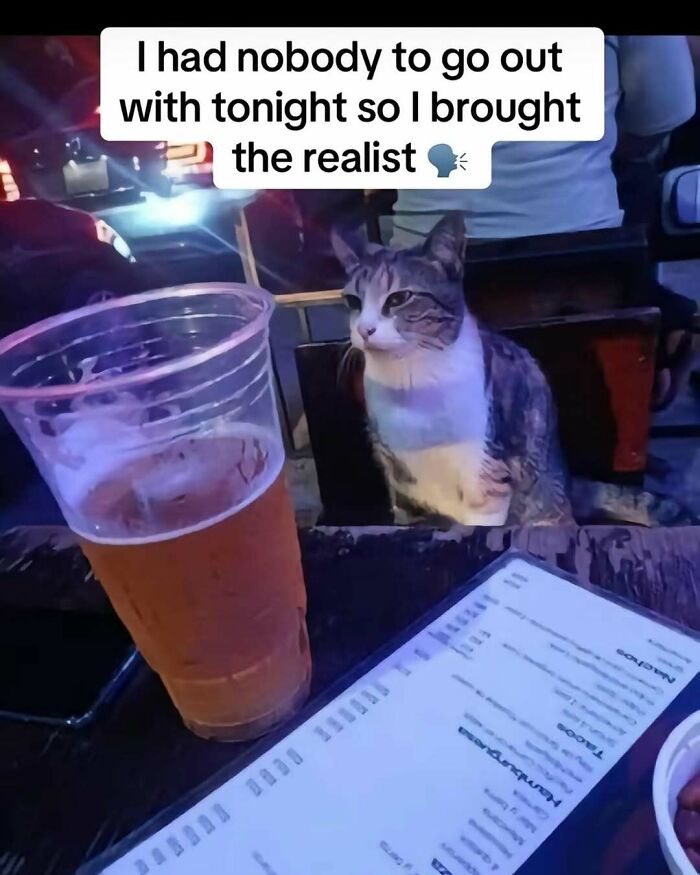 A cat sits on a chair next to a table with a beer, embodying the phrase about bringing the "realist."