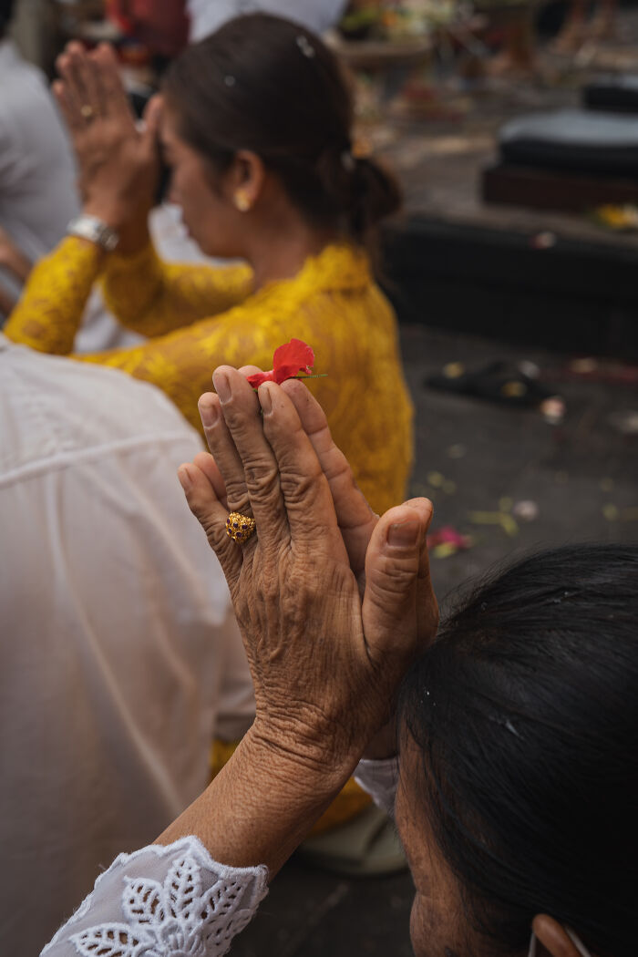 Elderly woman praying with hands together holding petals during Galungan celebration in Bali.