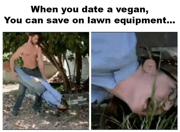 Date-A-Vegan-67ae4d35e8260.jpg