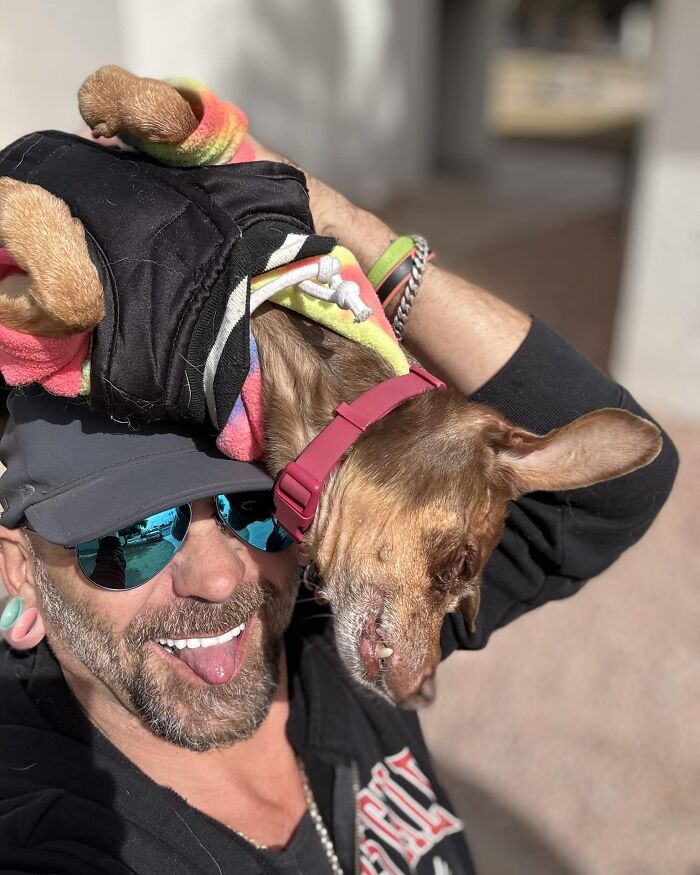 Man smiling with sunglasses, holding his reunited lost dog wearing a colorful outfit. Man smiling with sunglasses, holding his reunited lost dog wearing a colorful outfit.