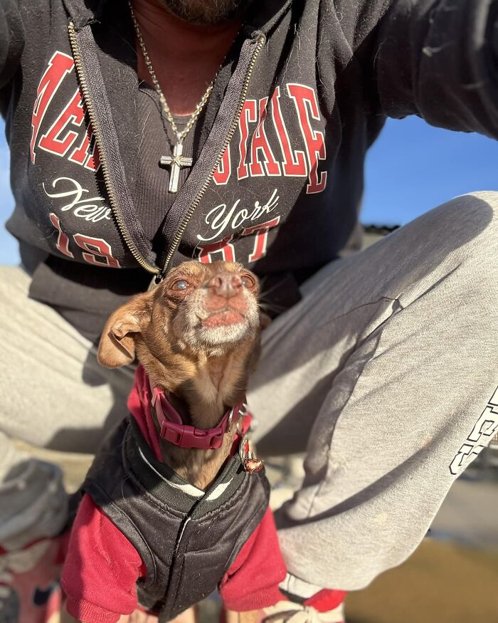 Man reuniting with his lost dog after 8 years, wearing a hoodie and sitting outside, sunlight illuminating the scene. Man reuniting with his lost dog after 8 years, wearing a hoodie and sitting outside, sunlight illuminating the scene.