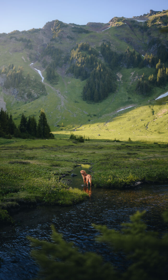 Golden Hour In The Alpine
