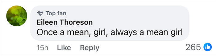 Comment mentioning mean girl in Taylor Swift and Blake Lively context. Comment mentioning mean girl in Taylor Swift and Blake Lively context.
