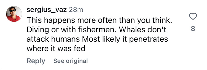 Instagram comment discussing whale encounters and human safety. Instagram comment discussing whale encounters and human safety.