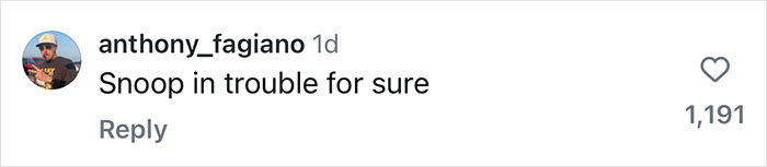 Comment saying "Snoop in trouble for sure" with 1,191 likes, related to Sofia Vergara and Snoop Dogg. Comment saying "Snoop in trouble for sure" with 1,191 likes, related to Sofia Vergara and Snoop Dogg.