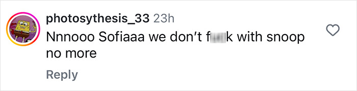 Comment criticizing Sofia Vergara for posing with Snoop Dogg, highlighting public disapproval. Comment criticizing Sofia Vergara for posing with Snoop Dogg, highlighting public disapproval.