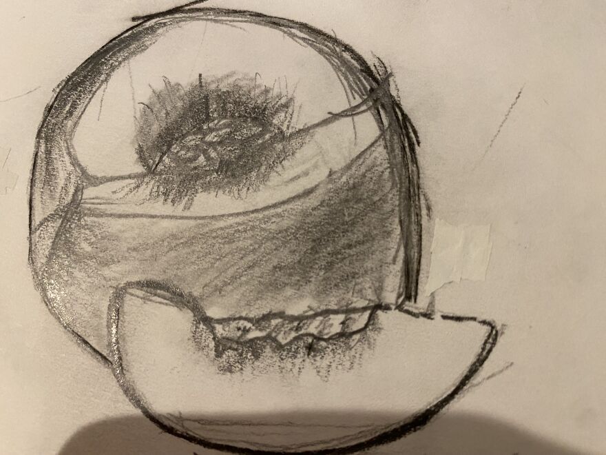 I Found These Drawings I Made In 5th Grade While Going Through My Memory Box