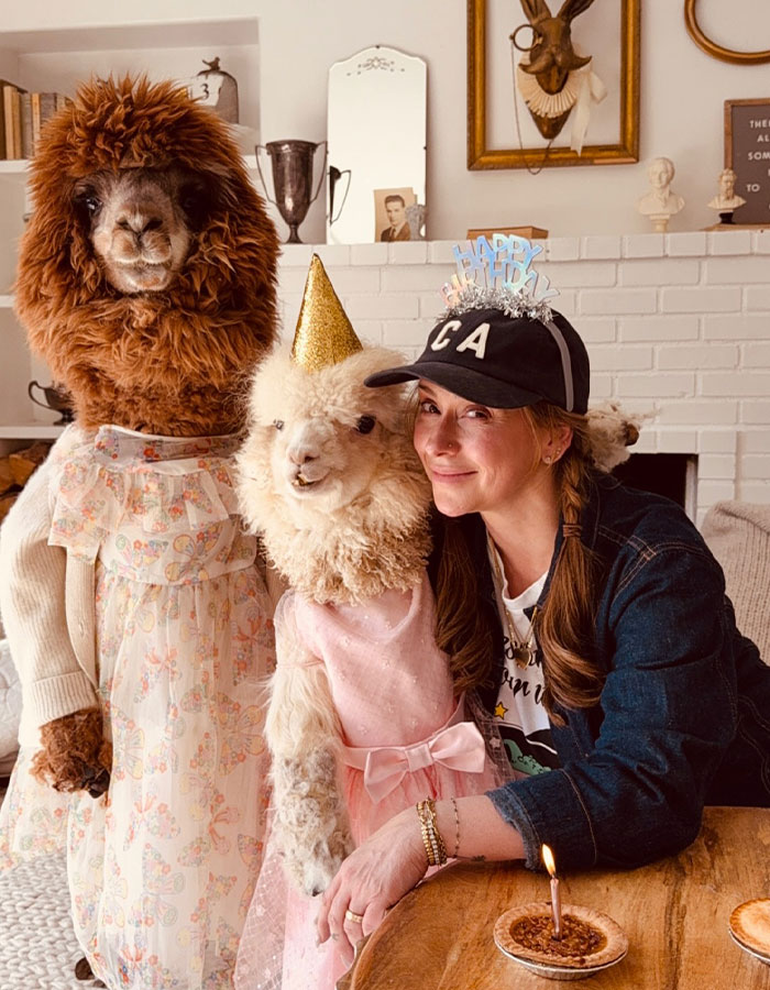 Woman celebrating birthday with alpacas, highlighting embracing aging. Woman celebrating birthday with alpacas, highlighting embracing aging.