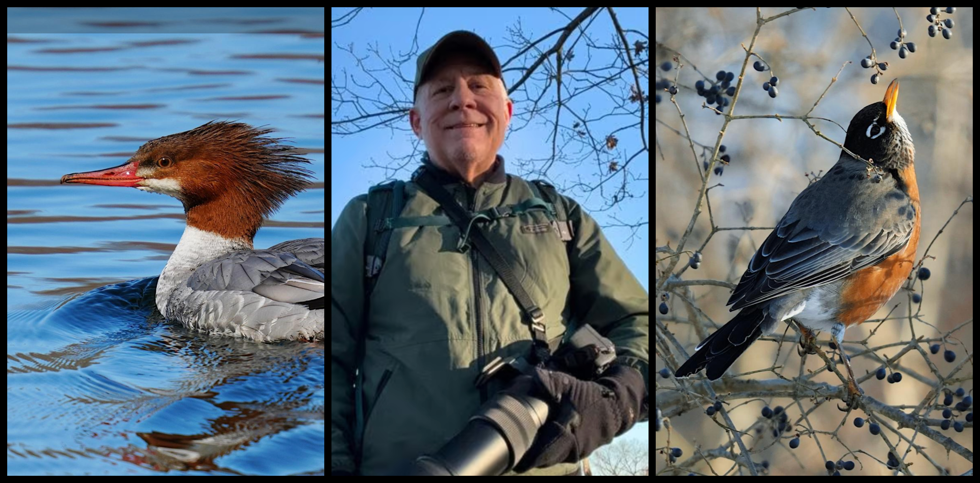 Mike Piston’s Photographic Tale Of Discovery At The Rockefeller State Park Preserve