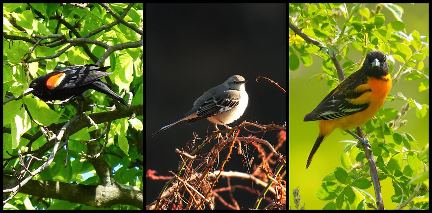Mike Piston&rsquo;s Photographic Tale Of Discovery At The Rockefeller State Park Preserve